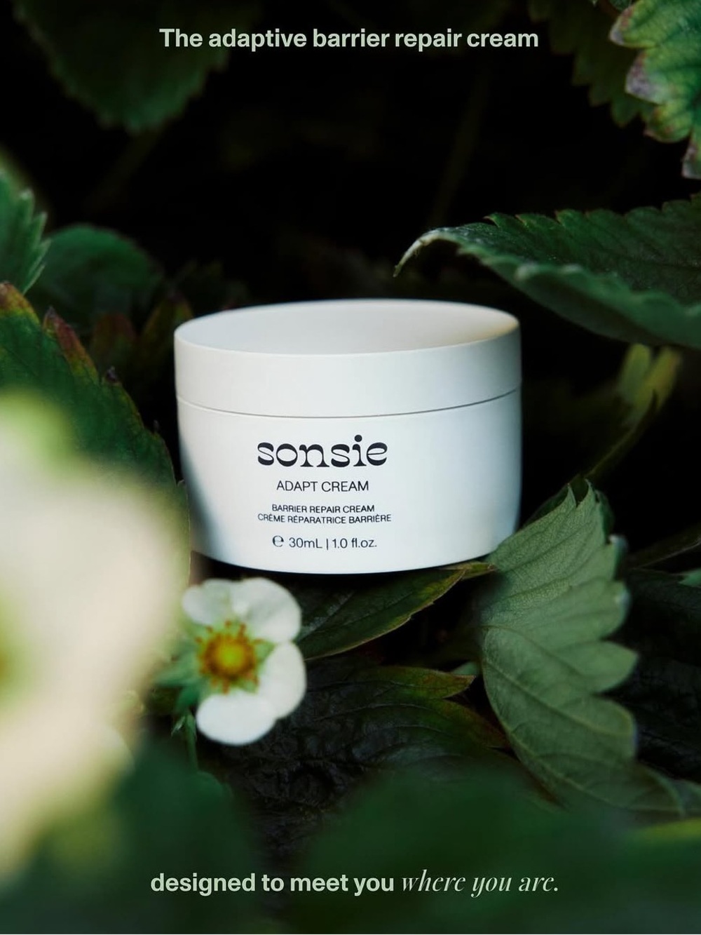 Sonsie Adapt Cream -